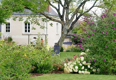 CRÉATION DE JARDIN