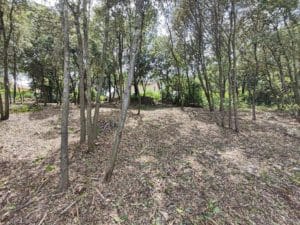 Prévention incendie – le débroussaillage dans le Gard (30) - Lantana Ecosylva Paysage à Alès et Salindres