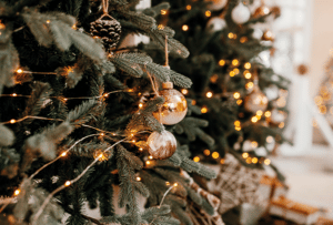 Comment Garder un beau sapin jusqu'au 25 décembre ? 