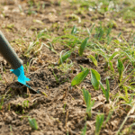 préparer votre jardin