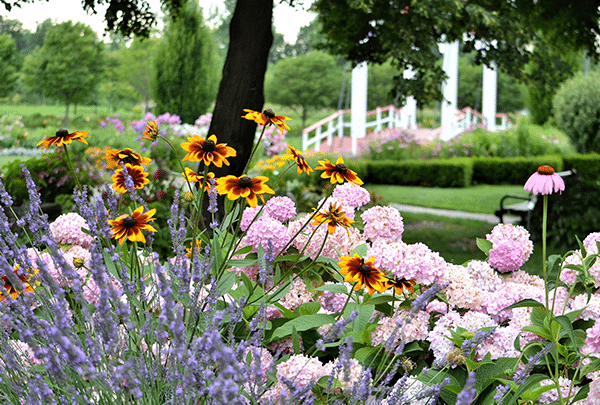 événements floraux