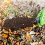 Réaliser son compost