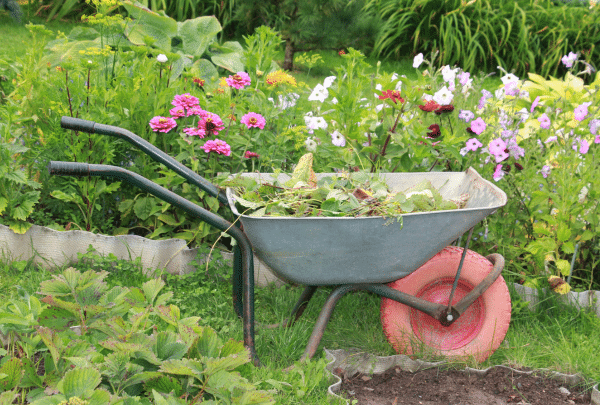 Désherber son jardin