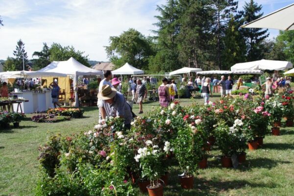 Salon du jardinage - plantes et artisanat / Jouy sur Eure