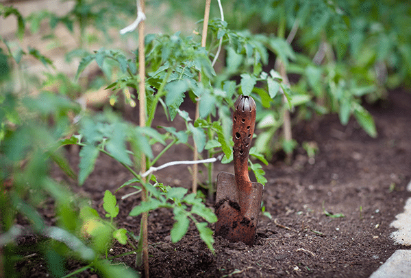 La permaculture