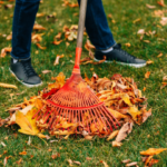 Ramassage des feuilles mortes Octobre