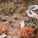 Quoi semaine en Octobre dans son jardin