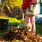 Nettoyer son jardin en Octobre