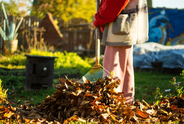 Nettoyer son jardin en Octobre