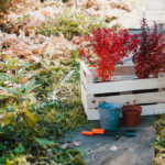 Préparer son jardin pour le printemps