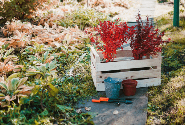 Préparer son jardin pour le printemps