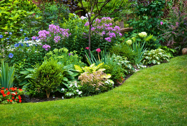 Que faire au jardin en Avril ? 