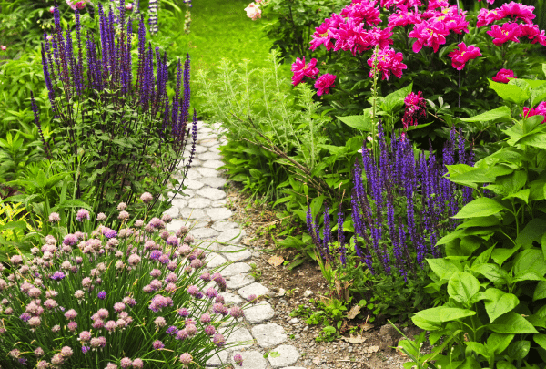 aménagement d'allée jardin