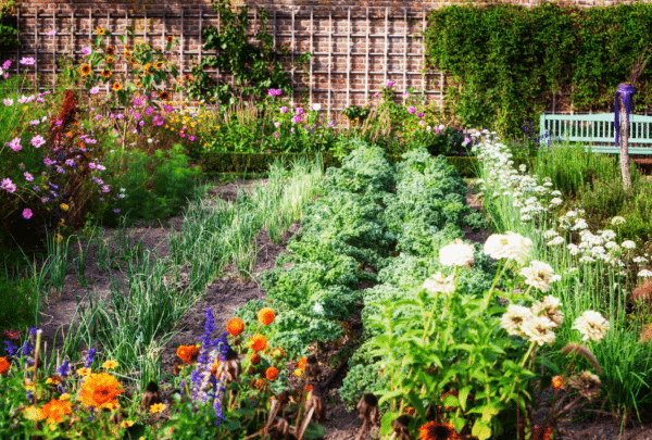 Jardin en Juin