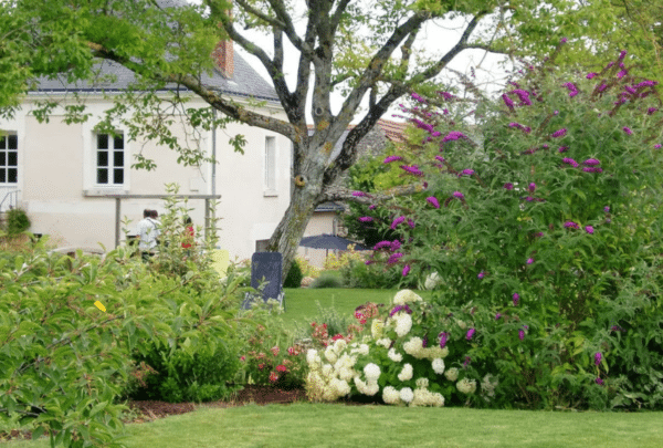 Jardin champêtre