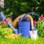 les gestes essentiels jardin