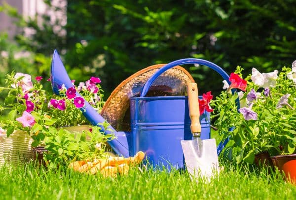 les gestes essentiels jardin