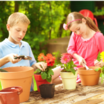 activités pour éveiller les enfants été