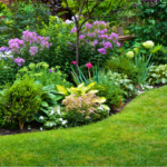 Les bons gestes à avoir au jardin en août