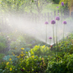 proteger vos plantes