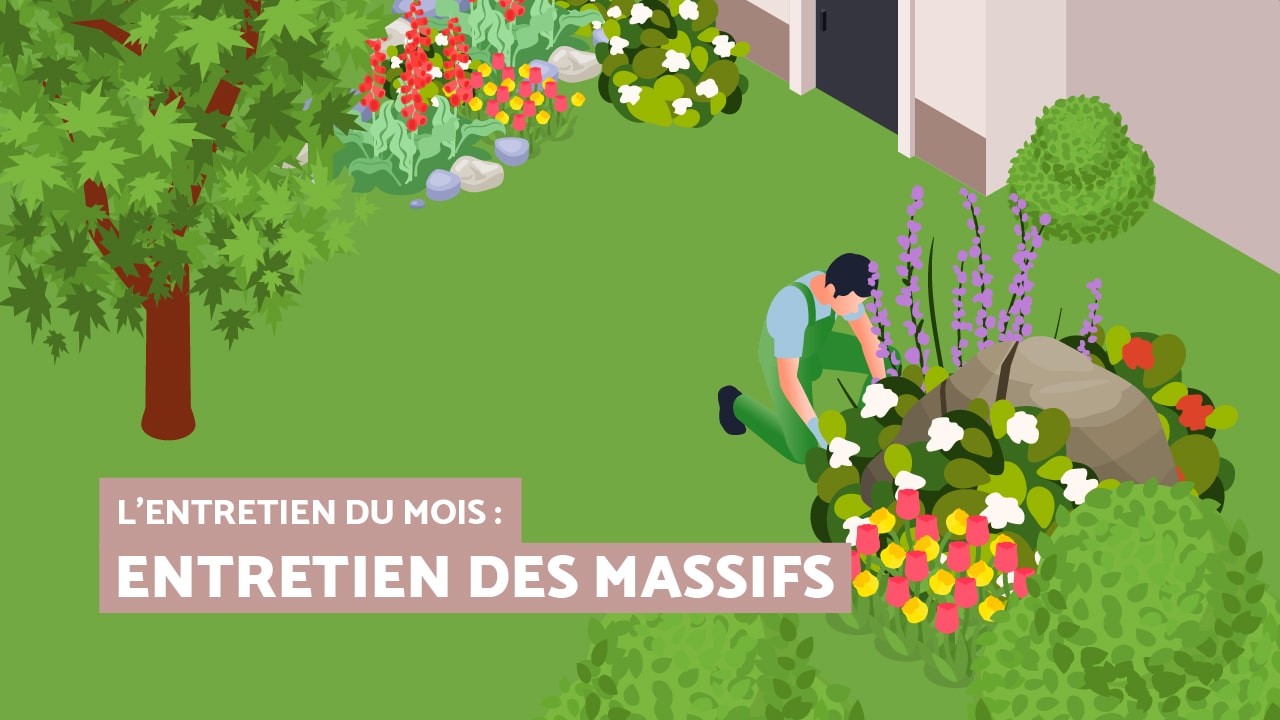 Entretien du mois : les massifs