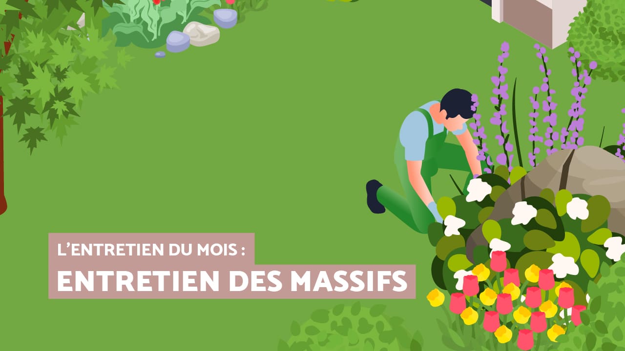 Entretien du mois : les massifs