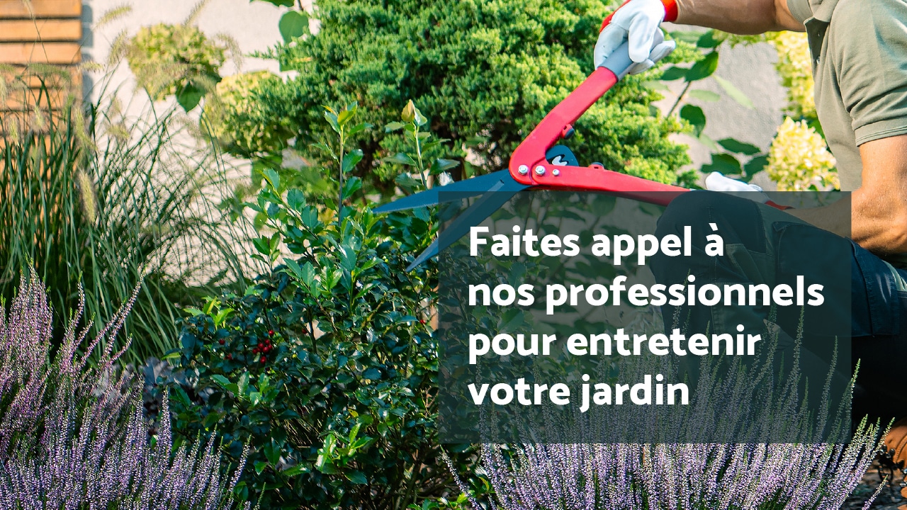 Entretien du mois : les massifs