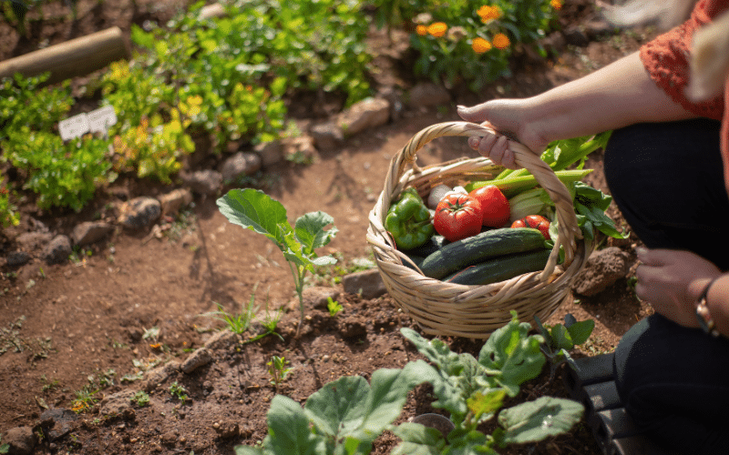 Préparer son jardin pour l'automne