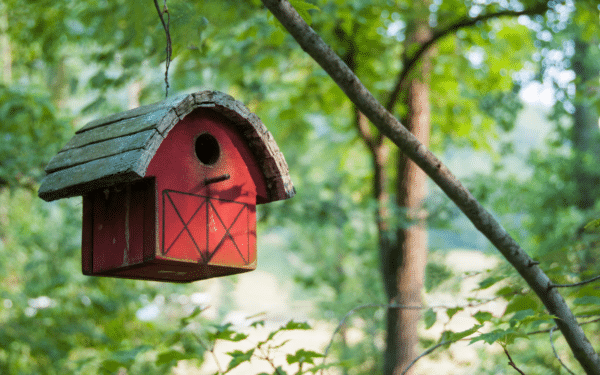 Anticiper la biodiversité pour l’hiver