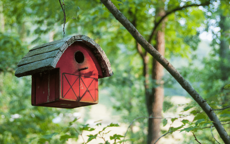 Anticiper la biodiversité pour l’hiver