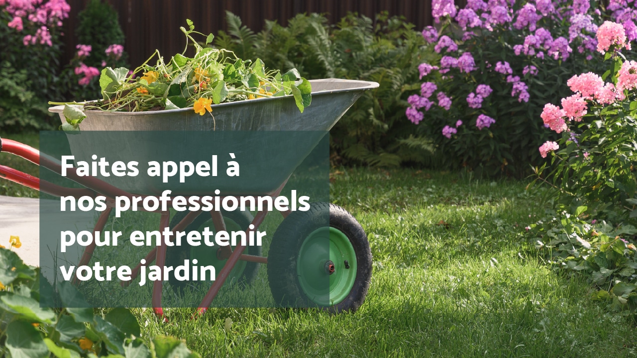 Entretien du mois : les massifs