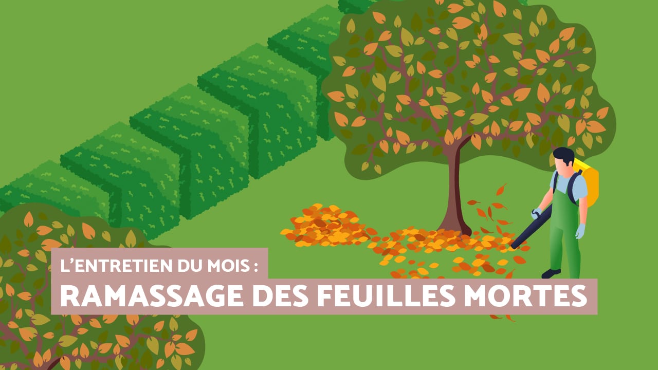 Entretien du mois : les massifs