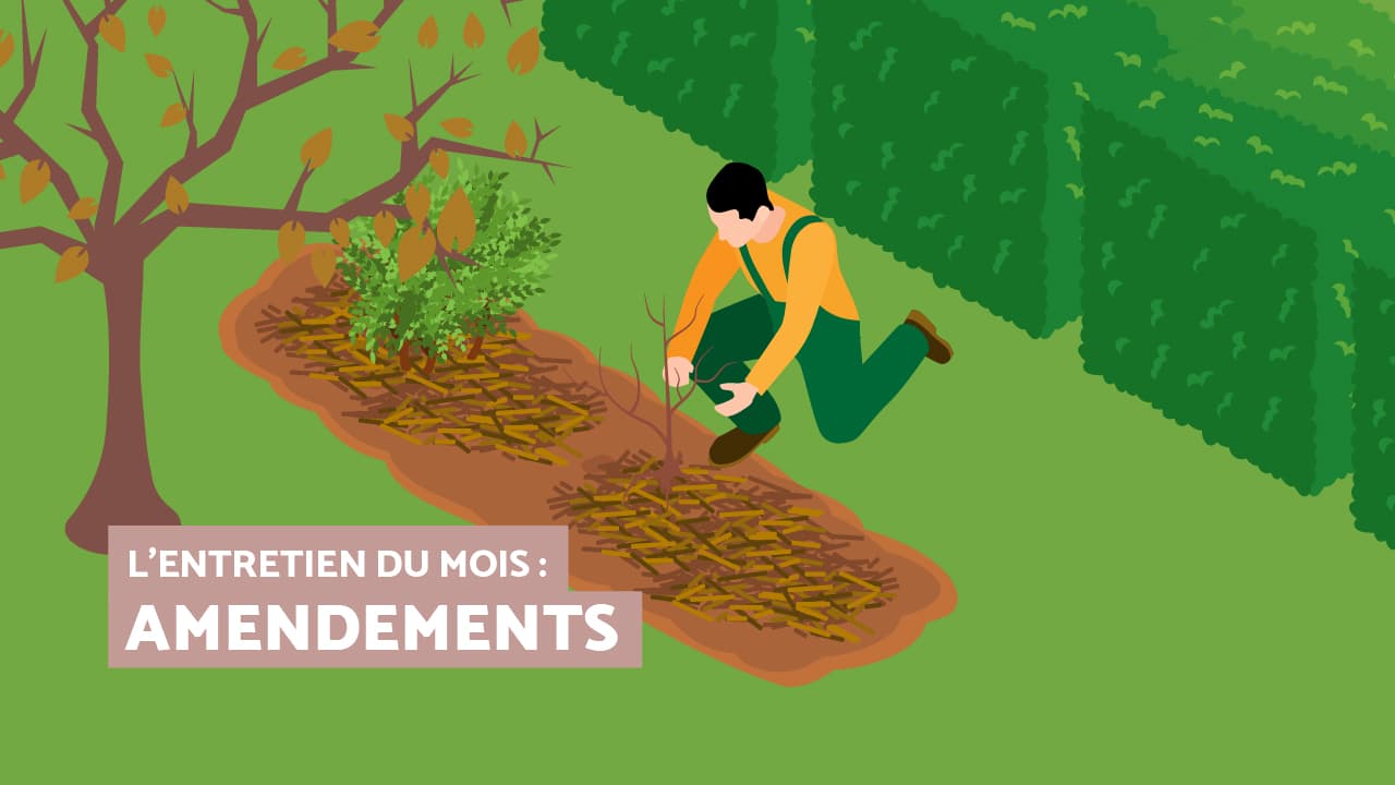 Ecrans_slider_AMENDEMENTS_DEC25_BIS_Slide01 Entretien du mois : les massifs