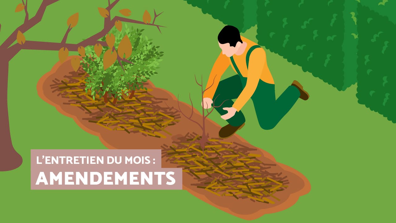 Ecrans_slider_AMENDEMENTS_DEC25_BIS_Slide02 Entretien du mois : les massifs