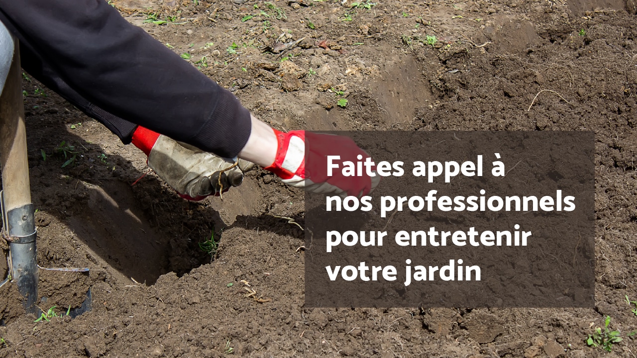 Ecrans_slider_AMENDEMENTS_DEC25_BIS_Slide03 Entretien du mois : les massifs