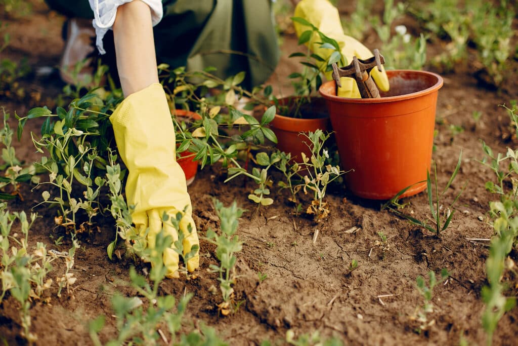 Personne travaillant dans le jardin