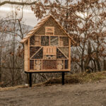 Hôtel à insectes en bois dans la nature
