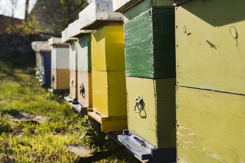 Ruches d'abeilles allign&eacute;es