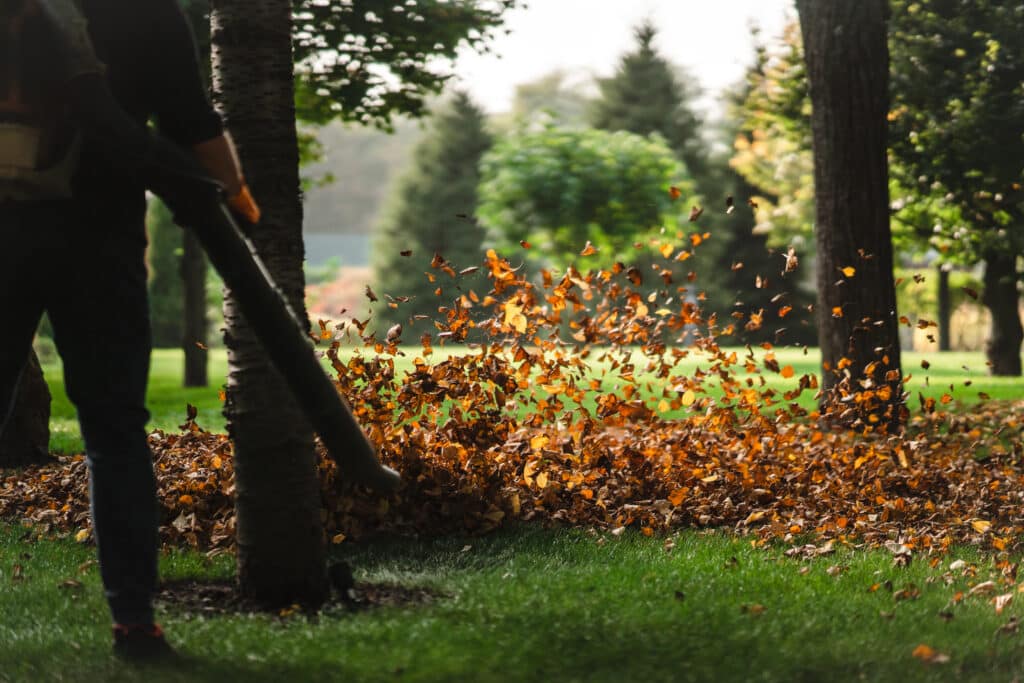 Souffleur à feuilles Feuilles en train de voler, soufflées par un jardinier en train de passer le souffleur